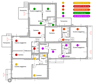 piantina-colorata-vigneto